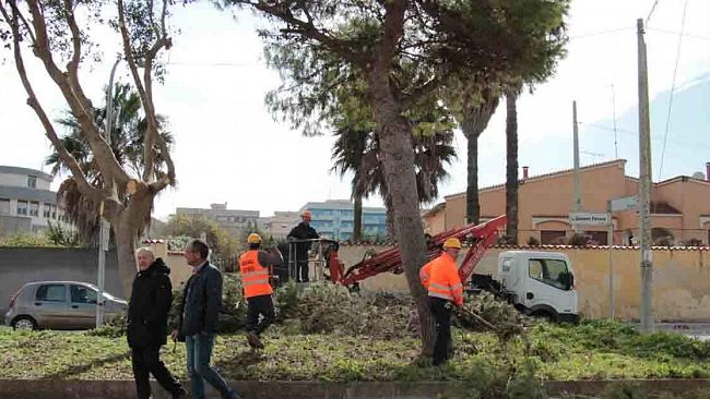 Marsala, potatura, scerbatura e pulizia del villaggio Sappusi