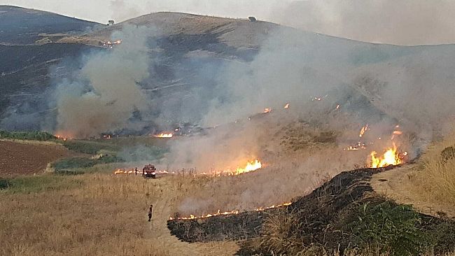 Salemi, grosso incendio:  oltre 20 ettari sono andati in fumo infatti nelle contrade di Sinagia e Polizo