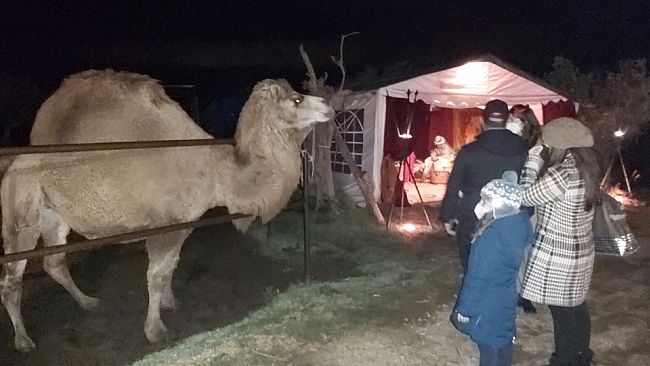 Villaggio di Betlemme” domani 19 dicembre la seconda giornata di apertura