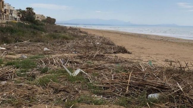 Campobello, 75mila euro per rimozione delle canne dall'arenile di Tre Fontane 