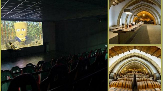 Le Cantine Florio partecipano a “Cantine Aperte”