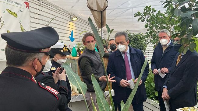 A Marsala inaugurata stamani la Casa delle Farfalle
