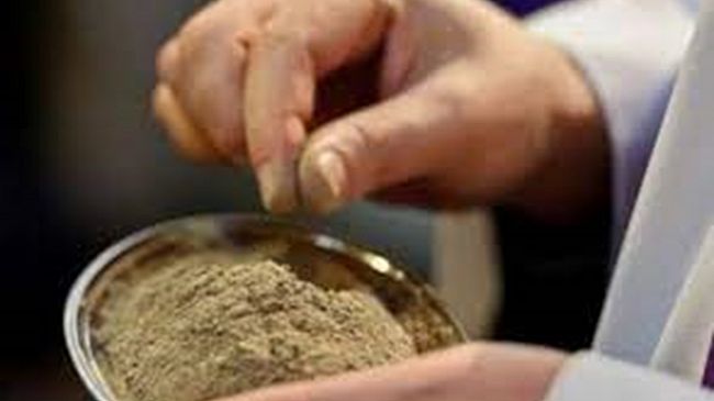 Caso Ceneri urticanti a Castelvetrano, arrivano i risultati degli esami di laboratorio