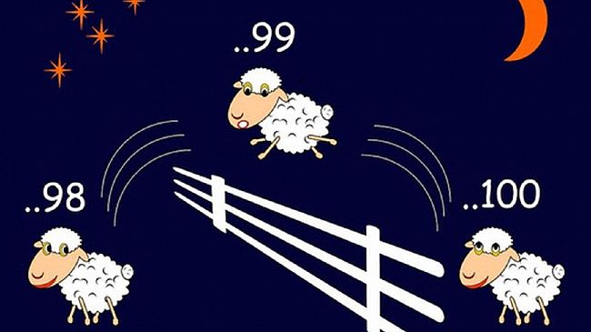 Consiglio comunale del 24 luglio: adatto a chi soffre d’insonnia