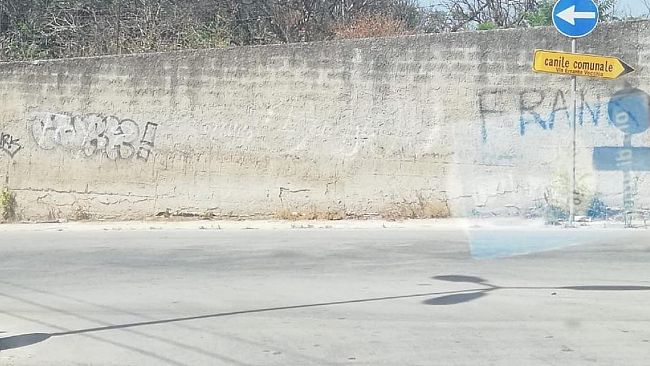 Frank e Sara si ameranno per sempre  ma il canile riusciremo a trovarlo seguendo le indicazioni?
