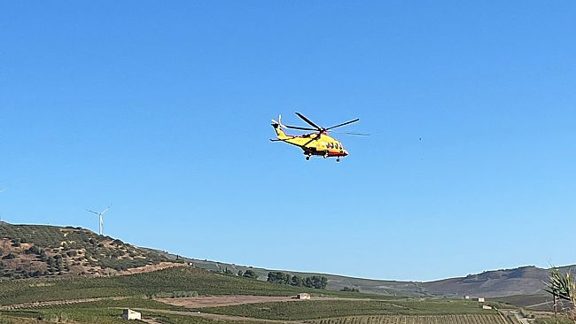 Un uomo perde la vita durante la vendemmia nelle campagne fra Alcamo e Camporeale 