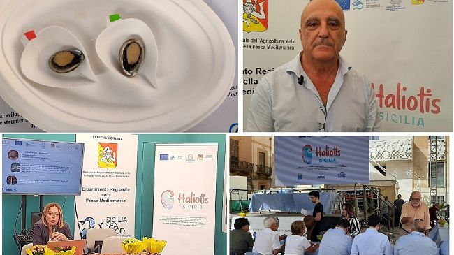 Presentato il progetto “Haliotis Sicilia” nel corso dell'evento Blue Sea Land