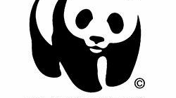 WWF:  tra castelli , torri e piazze oltre 300 gli spegnimenti previsti per l’ora di buio globale