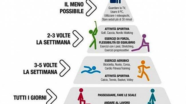 E-State in forma / La “piramide” del Movimento.