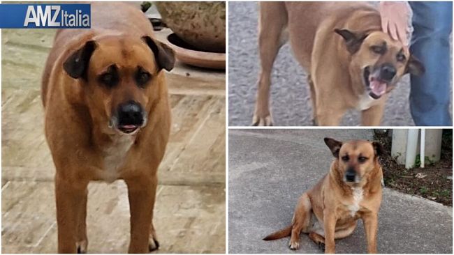 Alcamo. Il caso 