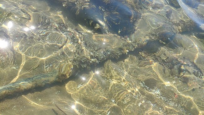 Marinella ,Il lettore segnala uno strano tubo di scarico nei pressi della spiaggetta di 