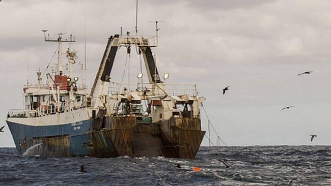 Agricoltura e non solo: Mentre il pesce norvegese vola, la nostra pesca arranca