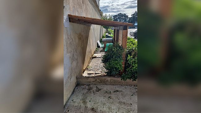 Paceco. Realizzato un ricovero per le colonie di gatti