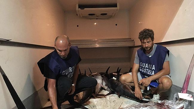 Sequestrati oltre 500 kg di prodotti ittici poi devoluti in beneficienza