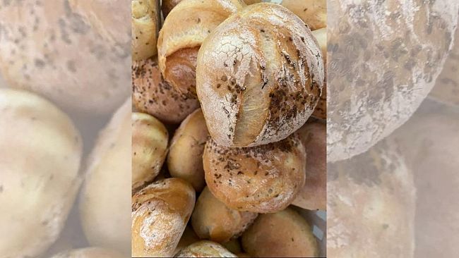 Festa di San Martino tra storia, fede, leggende e tradizioni