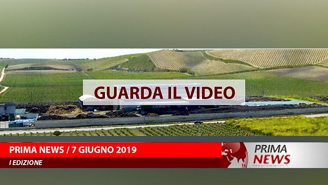 prima-news-7-giugno-prima-edizione