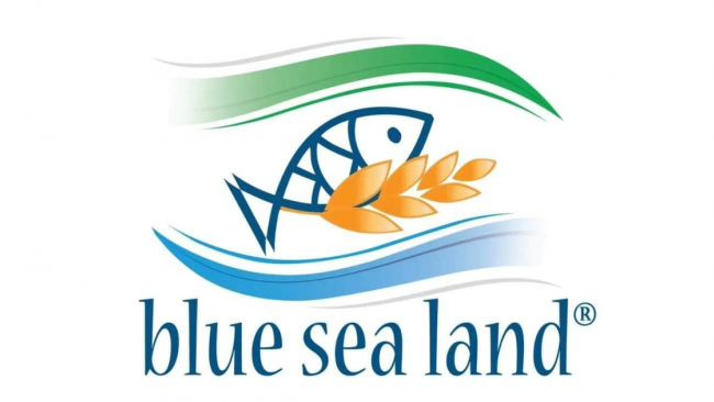 Call for Artists Blue Sea Land 2023
