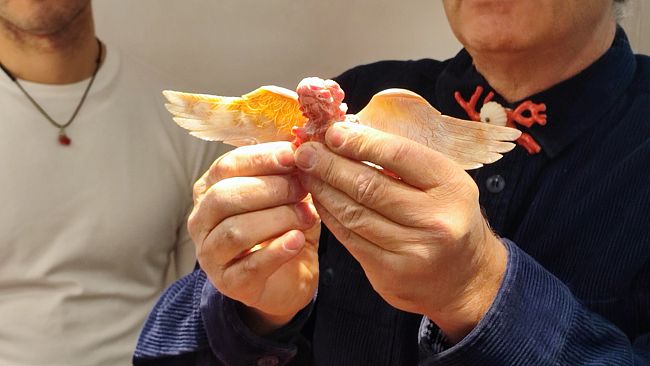 Trapani e l'oro rosso del Mediterraneo: un mese di eventi dedicati al corallo