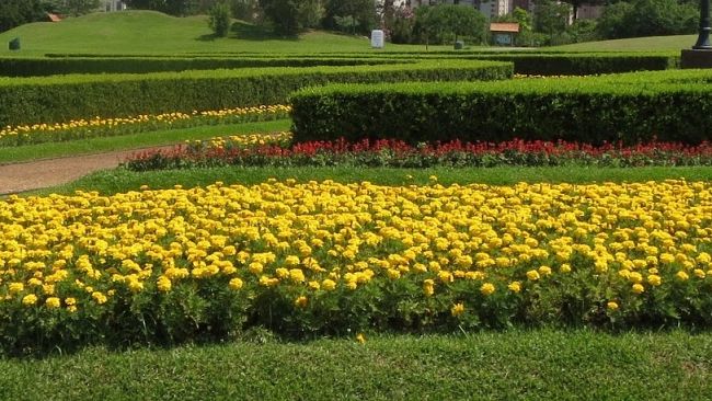 Il Brasato della Domenica: La qualità di una città è nei comportamenti quotidiani dei cittadini che la abitano