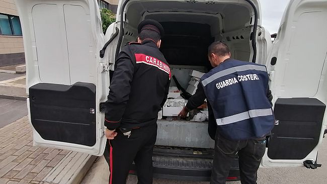 Pesce non tracciato: scattano sequestri e multe a Palermo