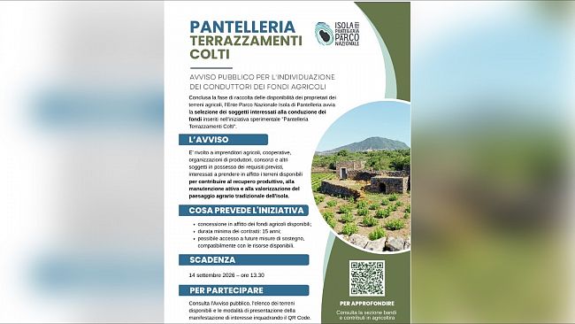 “Pantelleria Terrazzamenti Colti”: avviso pubblico per l’individuazione dei conduttori