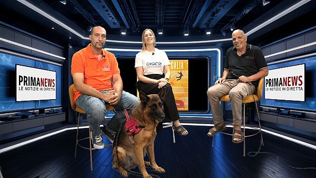 PrimaNews. 26 giugno: ospiti  l'addestratore Salvatore Totino Pompei con il cane Maya e la veterinaria Anna Bologna
