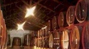 Il Consorzio Doc Sicilia investirà ancora in pubblicità negli Usa: 1,6 milioni di euro