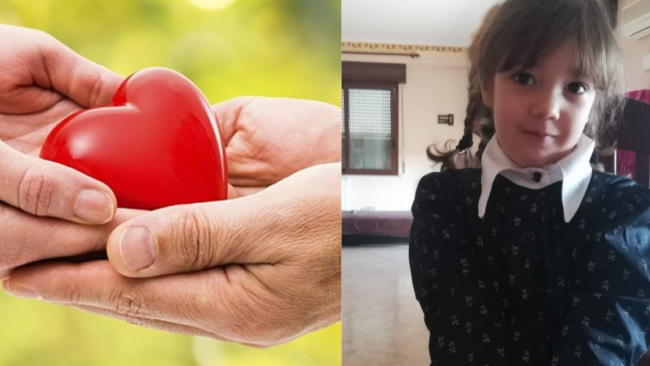 Con gli organi della piccola Greta salvate tre vite umane