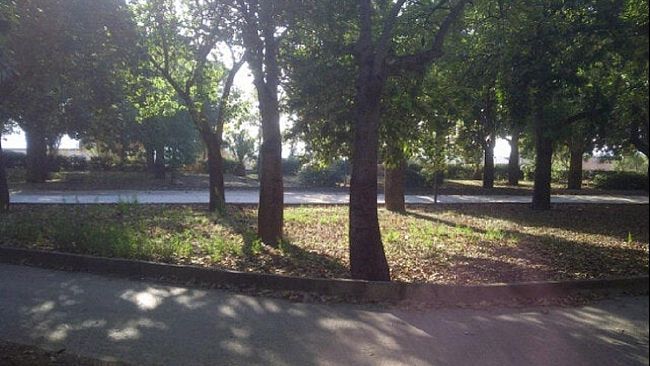 Concorso di Idee per la Riqualificazione del Parco Urbano delle Rimembranze