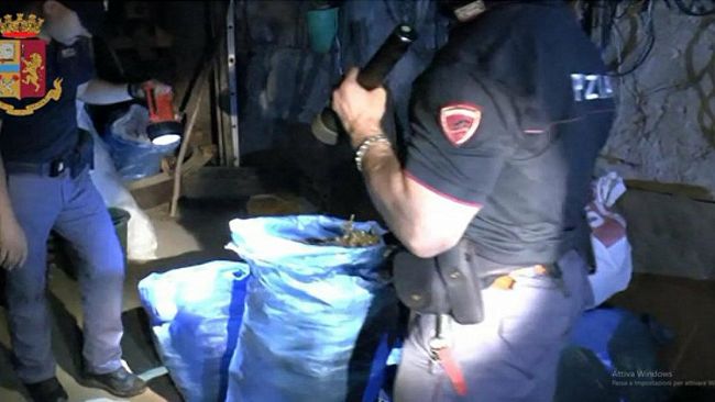 Maxi sequestro della Polizia di Stato a Calatafimi: la Squadra Mobile di Trapani arresta 2 persone e sequestra 220 chilogrammi di marijuana.