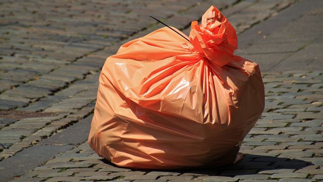 Trapani, altre sanzioni per reati contro l'ambiente
