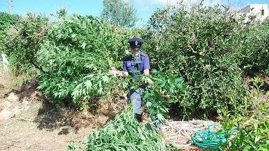 Controllo del territorio, lotta alla criminalità e allo spaccio di droga: operazione “Modello Trinacria” del Commissariato di Polizia di Marsala