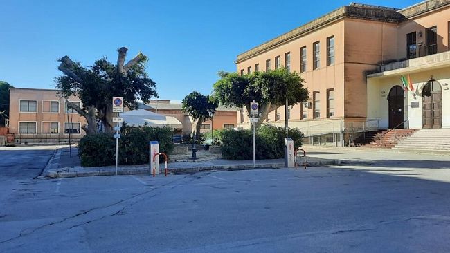 ​Sono terminati i lavori di potatura e messa in sicurezza degli alberi di Piazzale Martiri D’Ungheria