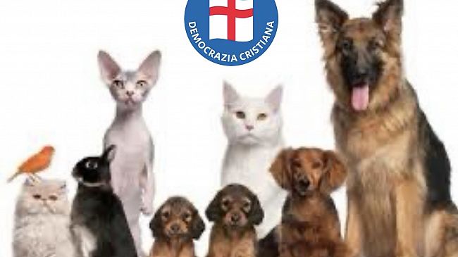 Mazara, i Consiglieri della DC presentano interrogazione su realizzazione di un cimitero per animali d'affezione