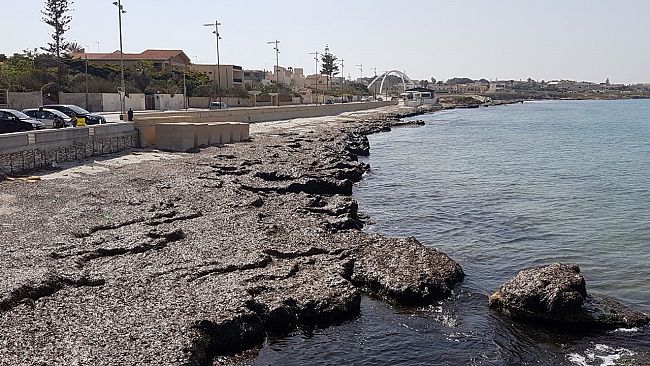 Mazara, avviso pubblico per pulizia litorali