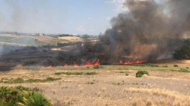 Fuoco al Parco Archeologico di Selinunte. Dieci ettari di macchia mediterranea in fumo