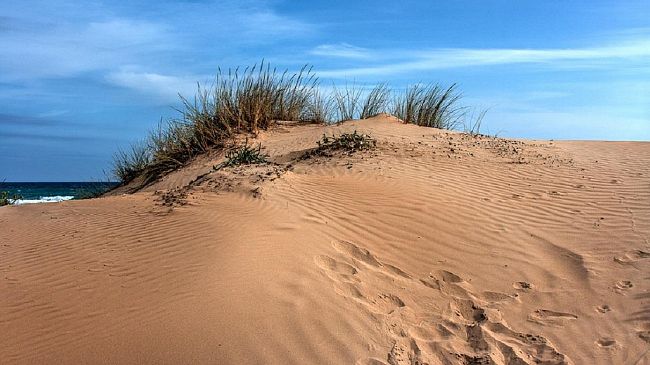 L’Amministrazione Castiglione partecipa a bando comunitario per il recupero delle dune di Tre Fontane