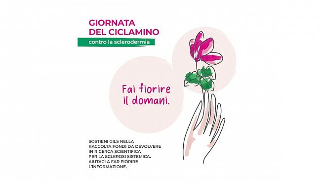 Gils, Giornata del Ciclamino. Appuntamento di raccolta fondi per la Sclerosi Sistemica