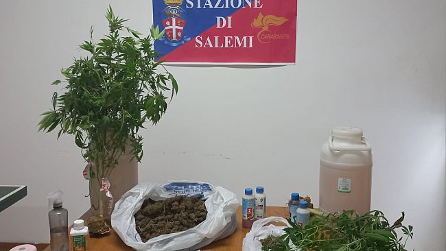 Coltivava piante di marijuana in una casa vacanze a Vita: arrestato 38enne salemitano 