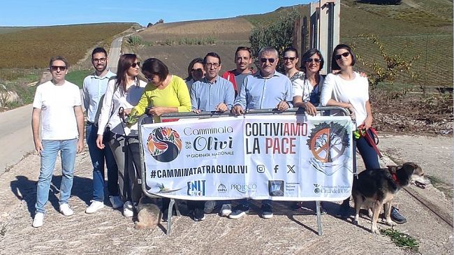 ​Buseto Palizzolo, oggi “camminata tra gli olivi” nel segno della pace
