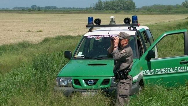 Agricoltura, oggi a Palermo si discute del contratto dei Forestali