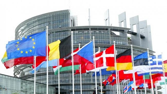 ​Insetti a tavola: l'Ue dà il via libera alla farina di larve