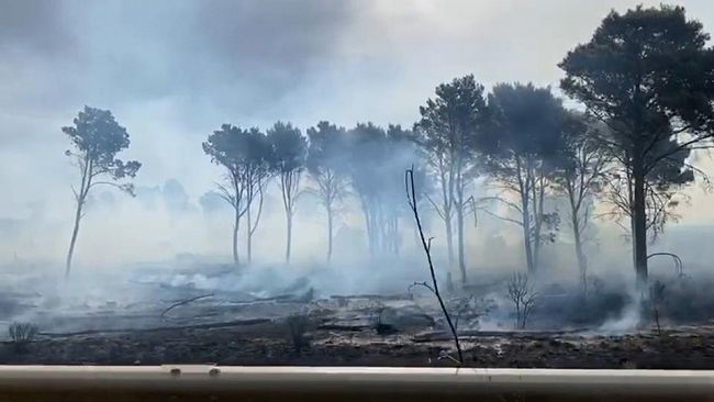 Incendio al bosco Magaggiaro, sindaco di Montevago: grave ferita per il territorio, taglia a chi segnala i piromani