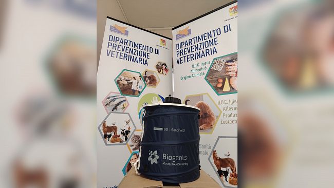 Virus West Nile, prevenzione e sorveglianza veterinaria all'Asp di Trapani