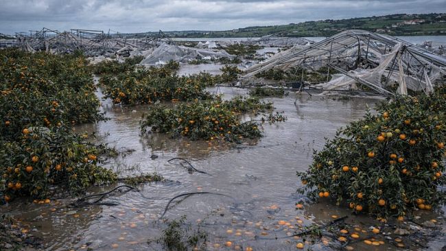 Ciclone “Harry”: Al via le segnalazioni danni per le imprese agricole. L'invito del sindaco Anastasi