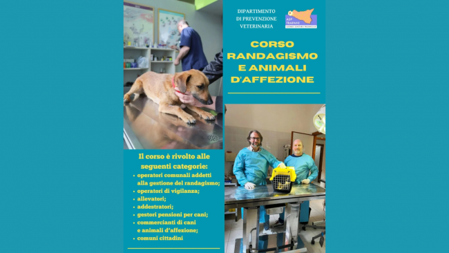 ASP Trapani, prorogate le iscrizioni per il corso di formazione su “randagismo e animali d’affezione”