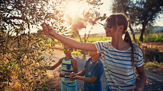 Svolta nel turismo dell’olio, arrivano il rapporto annuale e il sito ufficiale con oltre 300 experience