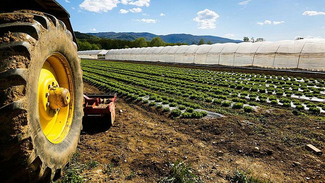 Campobello, contributi a fondo perduto per le imprese agricole