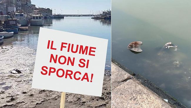 Rifiuti nel fiume Mazaro, il 14 luglio flash mob del Comitato Makara-S. Maria di Gesù 