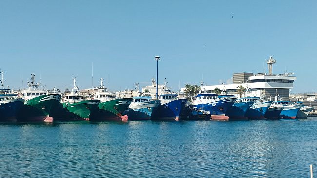 Mazara, Pesca, la marineria divisa e davanti al bivio: a mezzanotte scade il fermo. La notte della verità...      